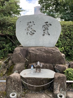 IMG_0194.jpeg